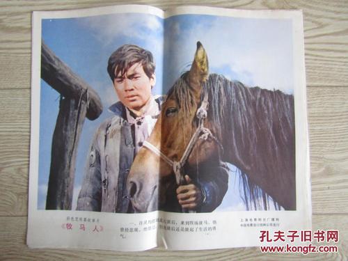 哪里能办理地址证明